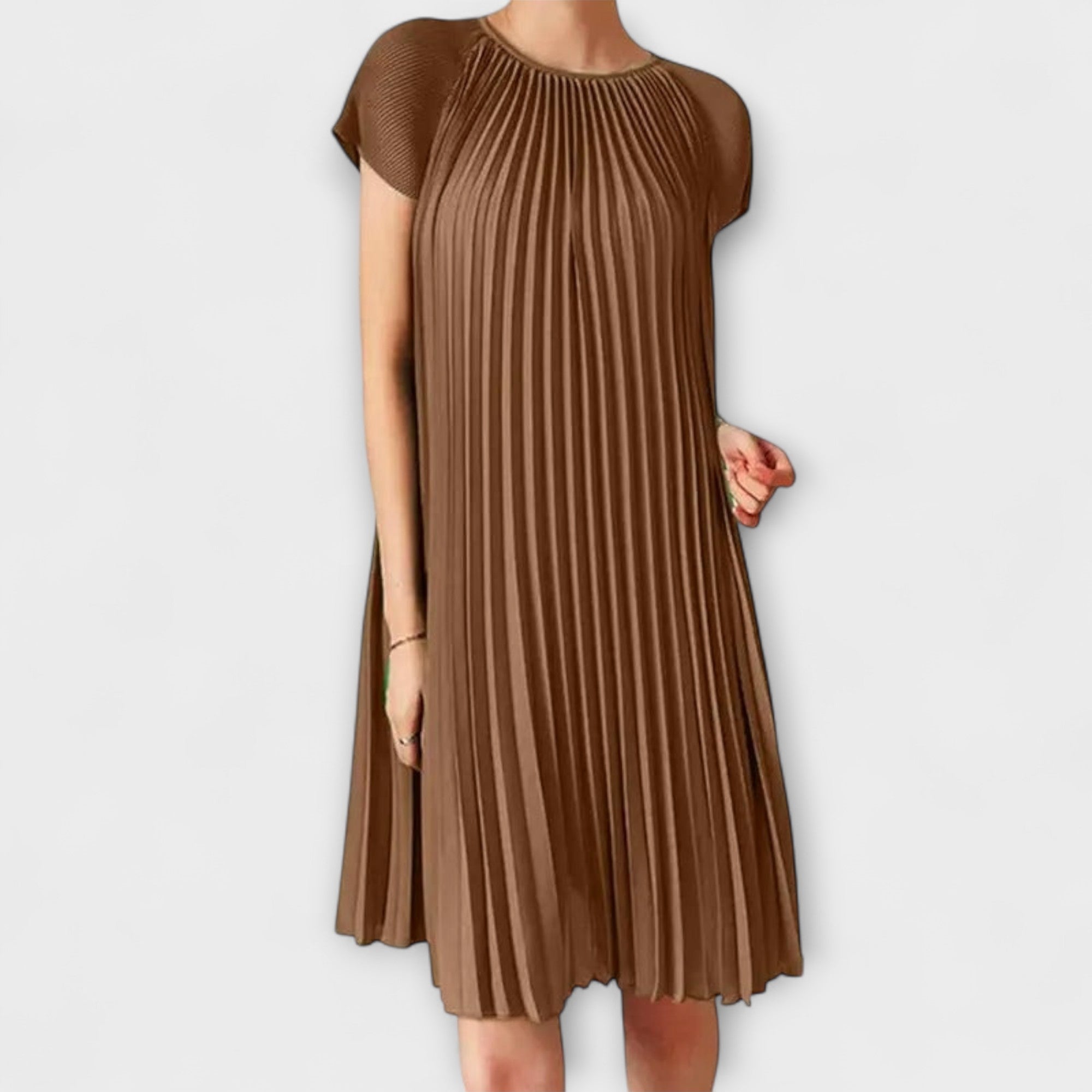 Elegant Pleated Dress